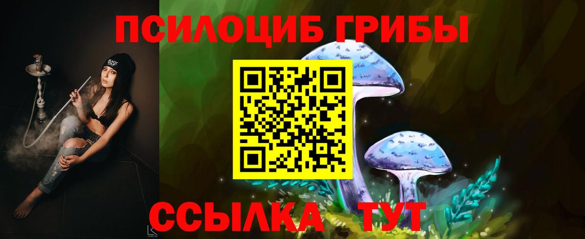 Псилоцибиновые грибы GOLDEN TEACHER  где найти наркотики  Дербент  Вход с VPN 